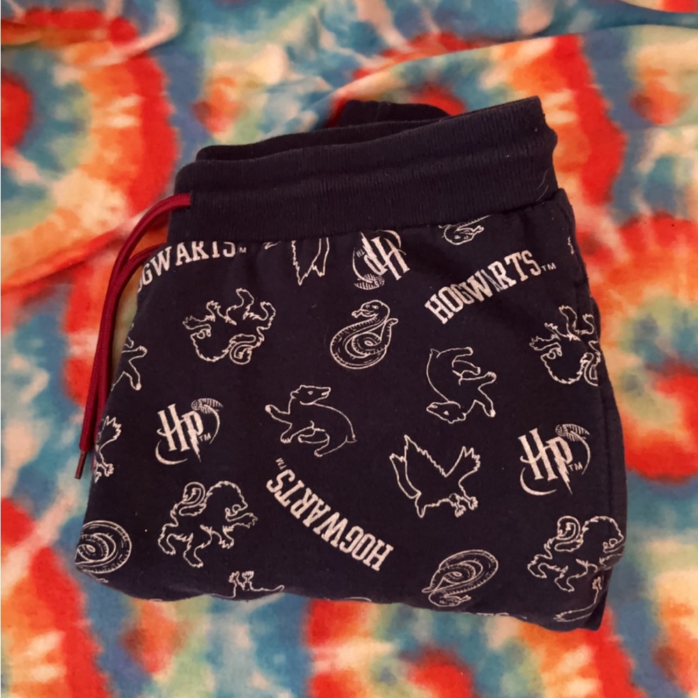 Harry Potter sweatpants only worn once selling for $25
